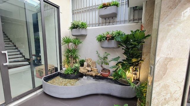 Tiểu cảnh chậu xi măng cong 2 tầng