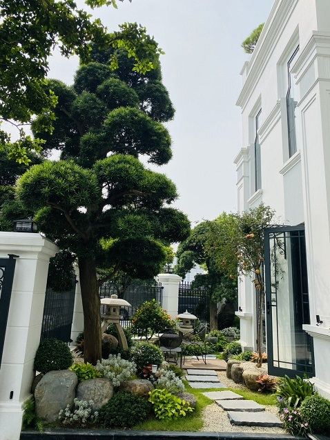 Sân vườn biệt thự Vinhomes Riverside