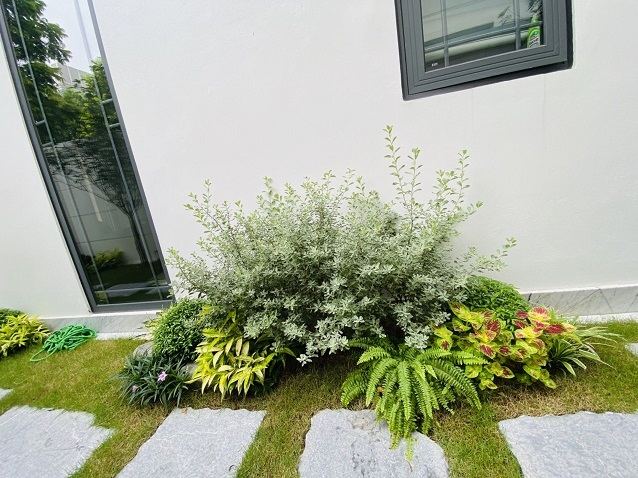 Sân vườn biệt thự Vinhomes Riverside
