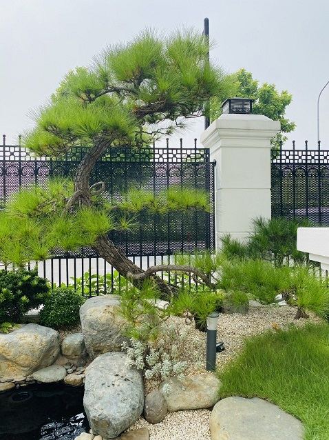 Sân vườn biệt thự Vinhomes Riverside