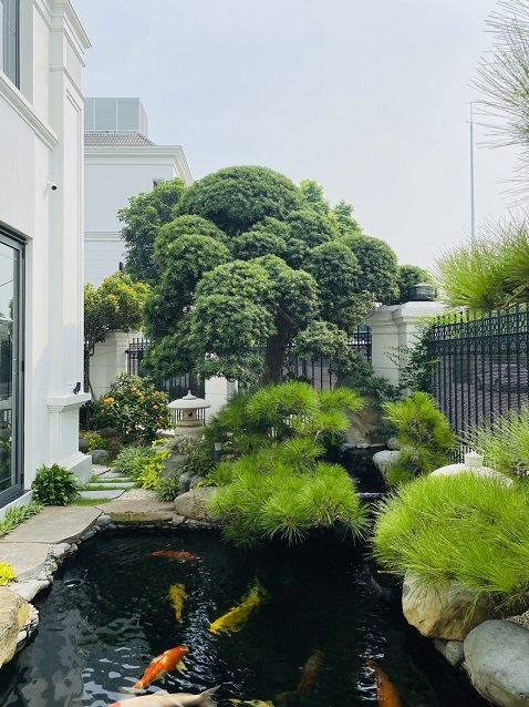 Sân vườn biệt thự Vinhomes Riverside