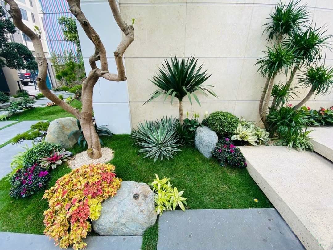 Vườn nhật