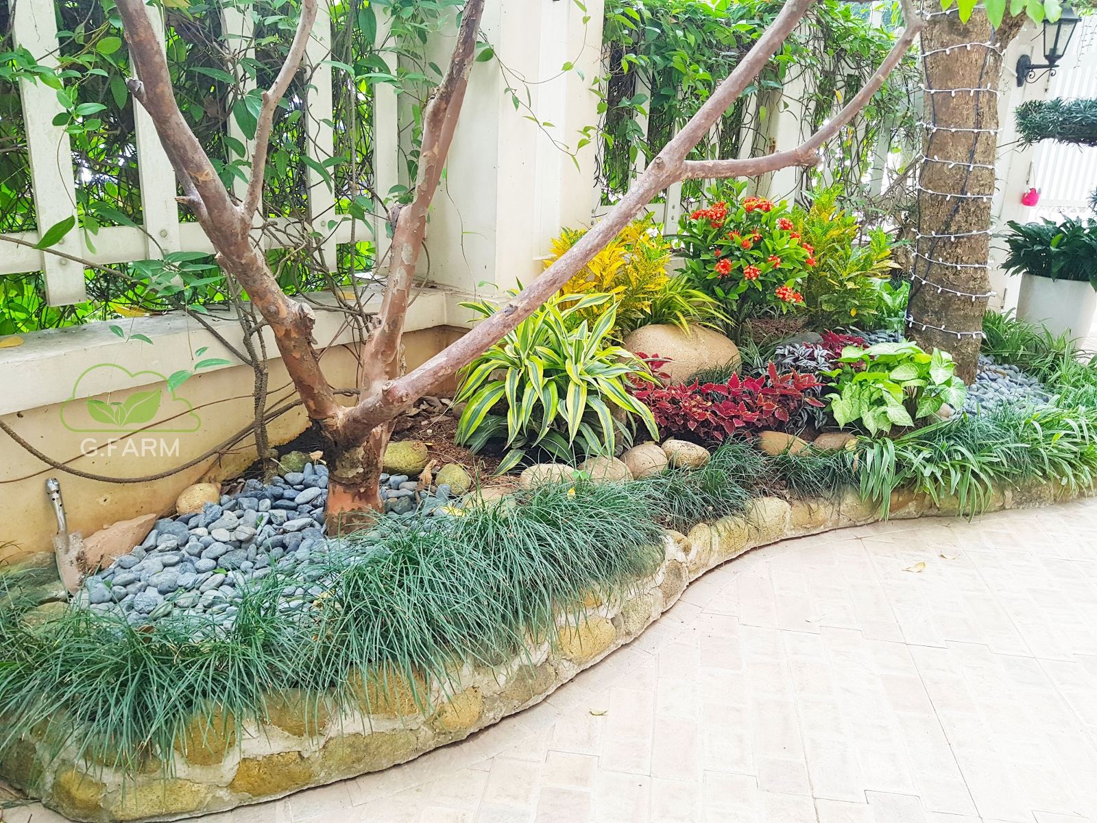 Thiết kế và thi công sân vườn tuyệt đẹp tại Vinhomes Long Biên