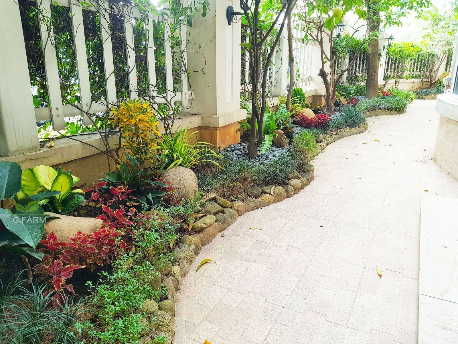 Thiết kế sân vườn biệt thự Lương Thế Vinh