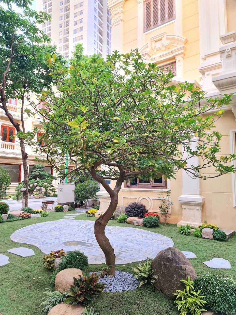 Vườn Biệt Thự Phong Cách Nhật Bản 