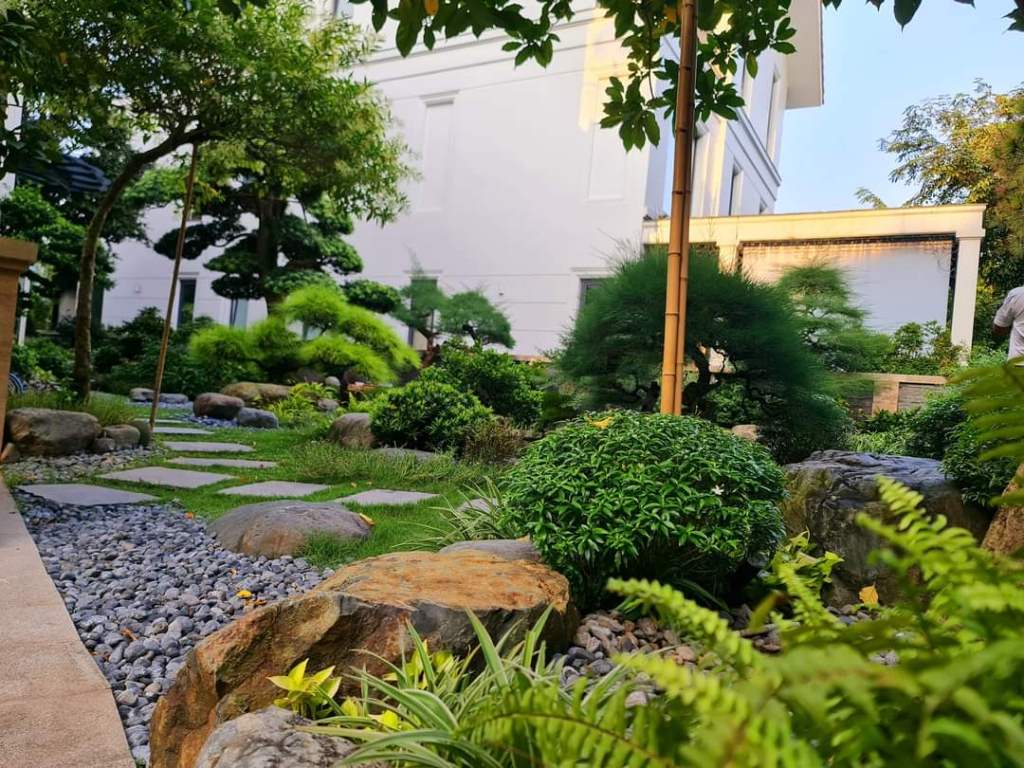 vườn đẹp