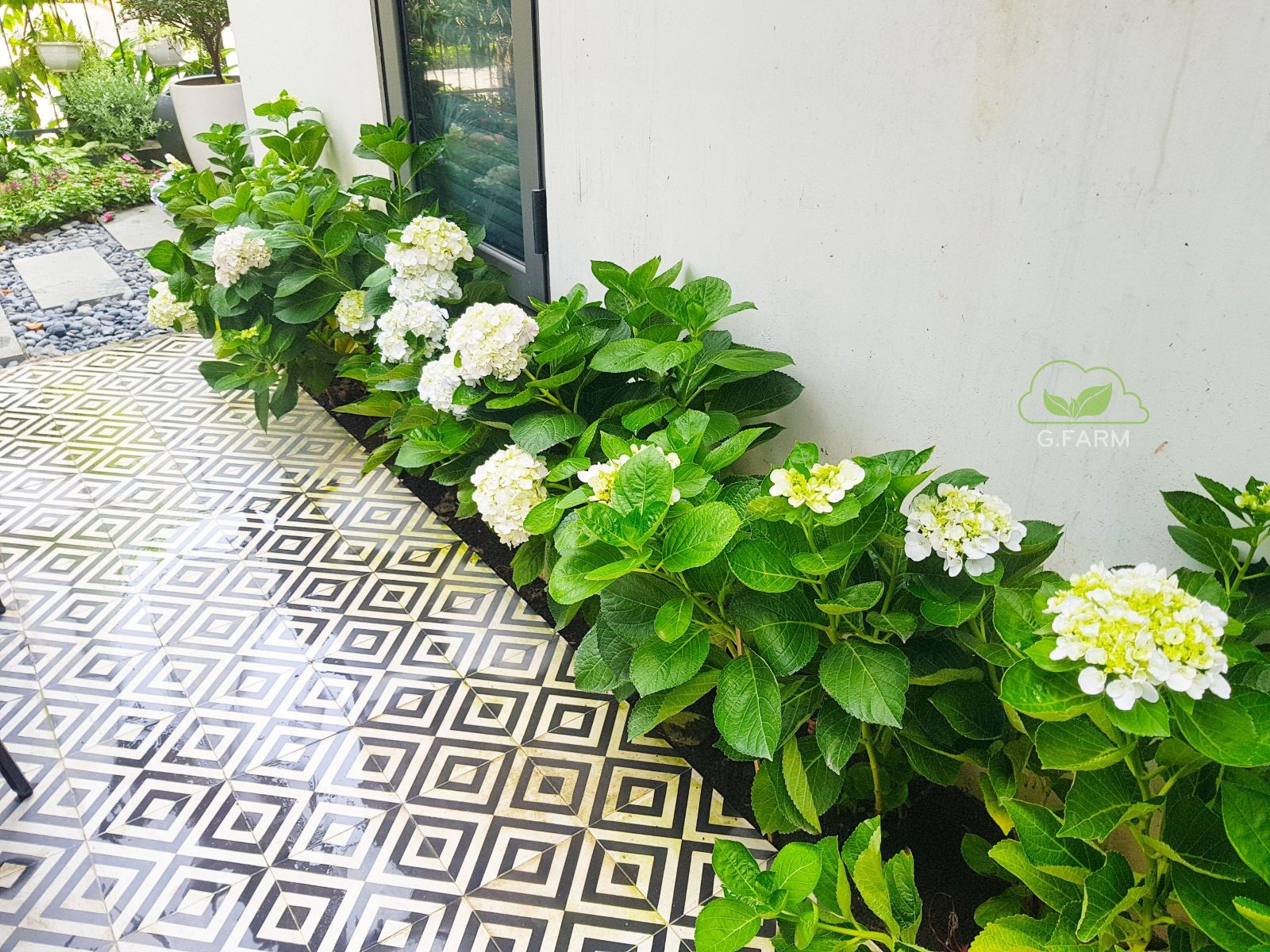 Mẫu thiết kế sân vườn biệt thự Chị Hiền The Manor - Phong cách Châu Âu