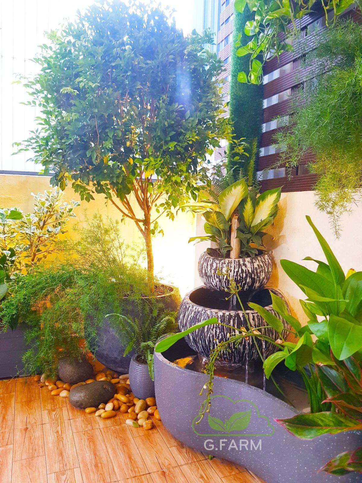 Dự án vườn sân thượng nhỏ 15m2 chị lụa hoàng cầu