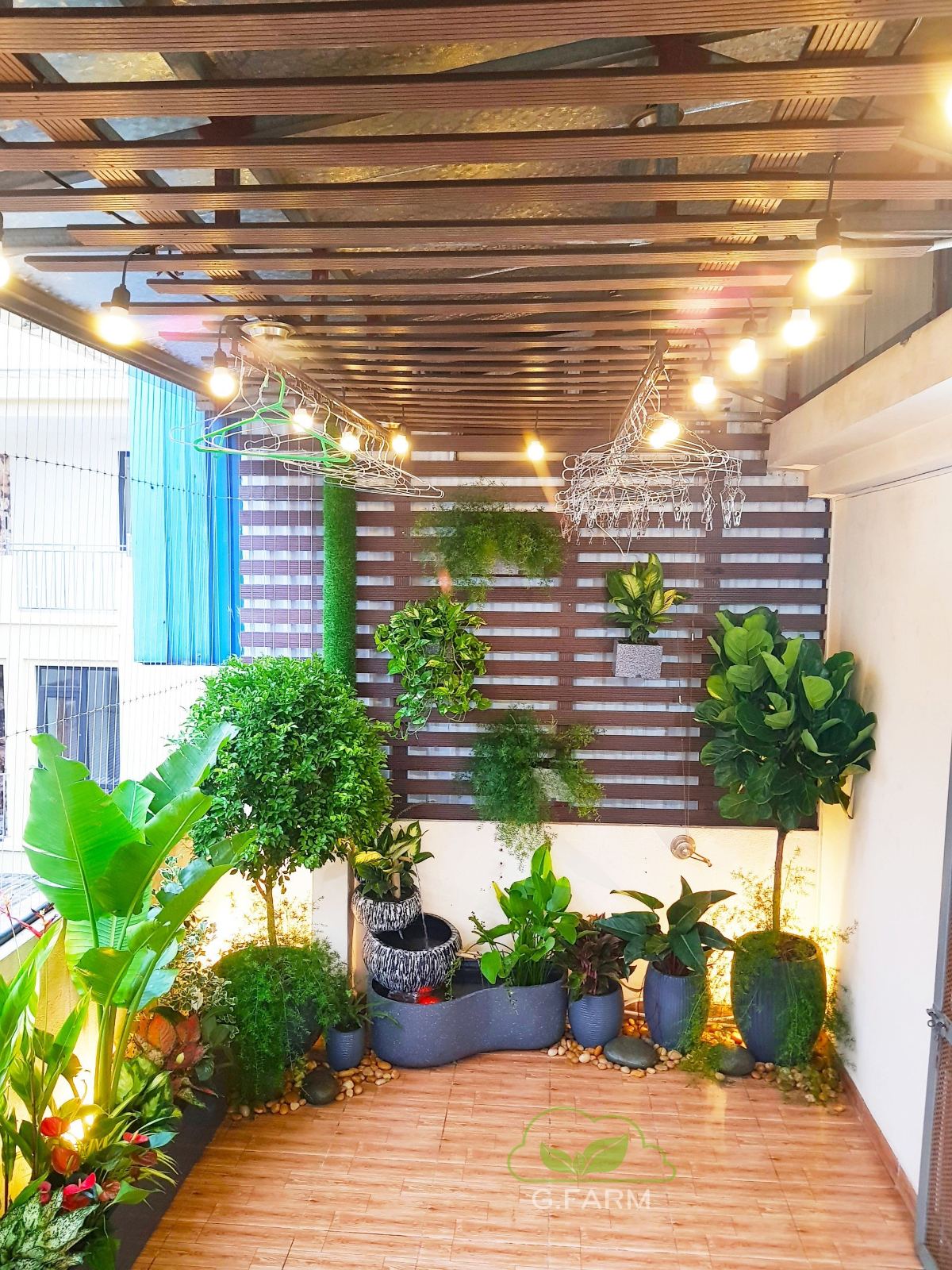 Dự án vườn sân thượng nhỏ 15m2 chị lụa hoàng cầu