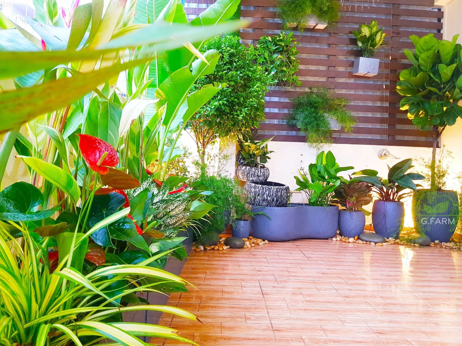 Dự án vườn sân thượng nhỏ 15m2 chị lụa hoàng cầu