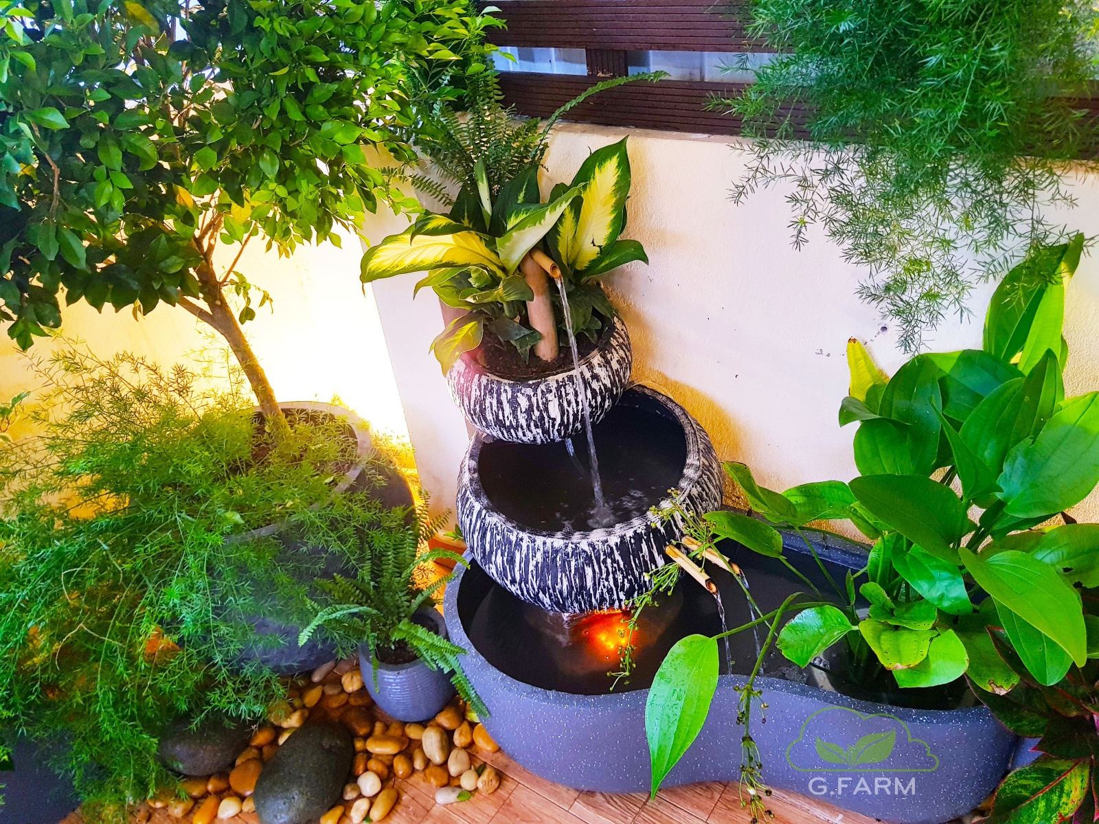 Dự án vườn sân thượng nhỏ 15m2 chị lụa hoàng cầu