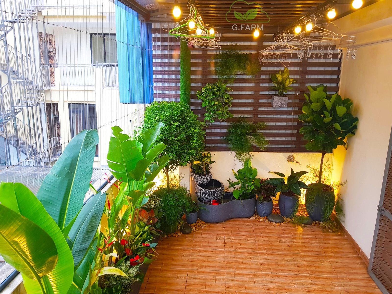 Dự án vườn sân thượng nhỏ 15m2 chị lụa hoàng cầu