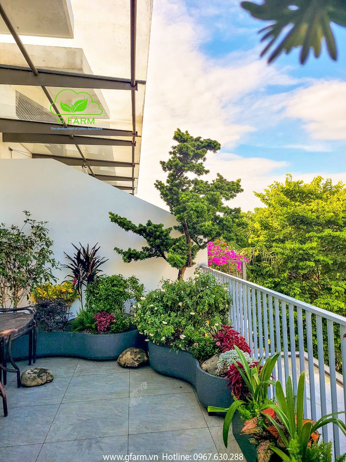 MẪU THIẾT KẾ VƯỜN SÂN THƯỢNG CHẬU TIỂU CẢNH BỒN CONG
