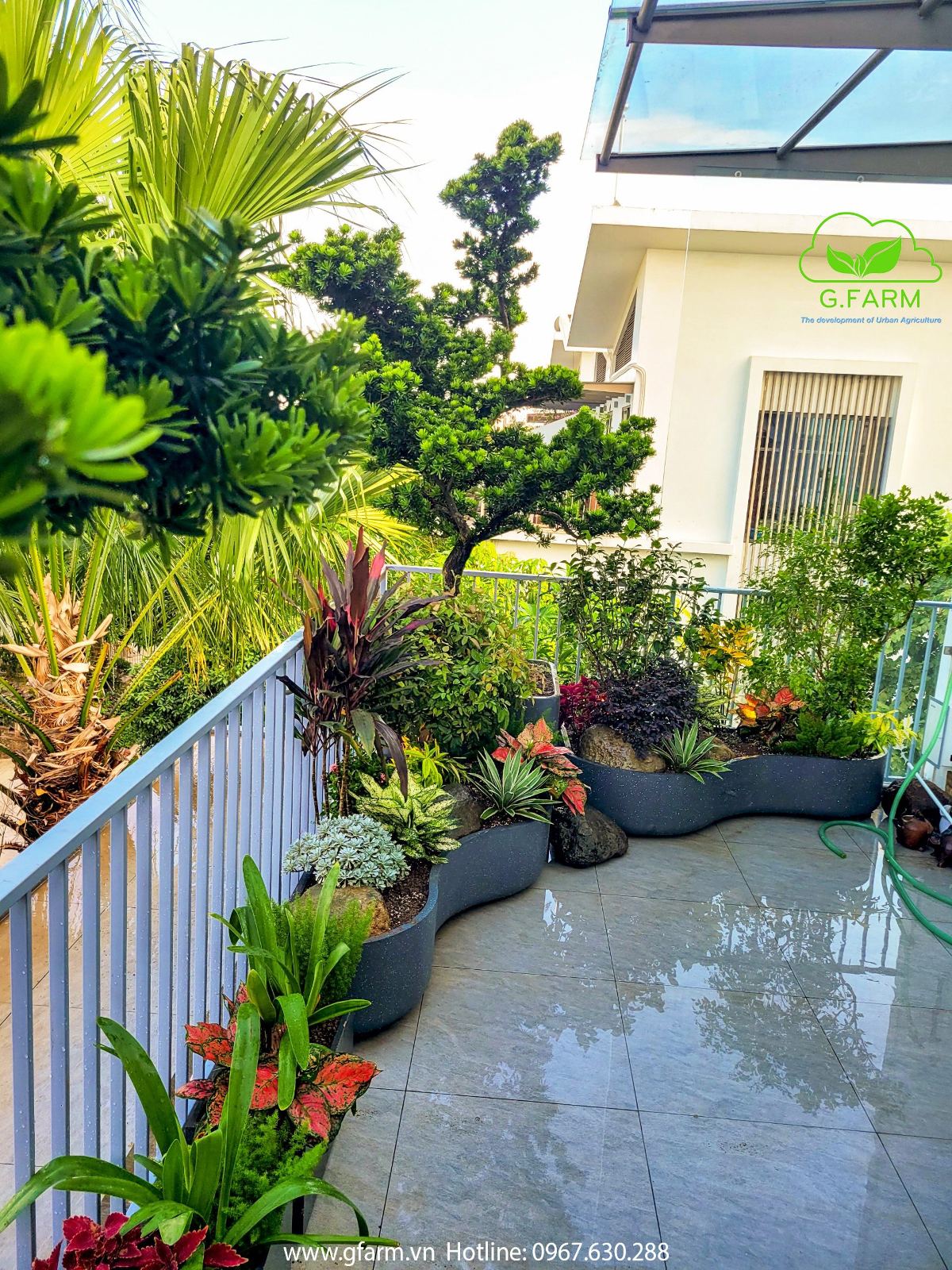 MẪU THIẾT KẾ VƯỜN SÂN THƯỢNG CHẬU TIỂU CẢNH BỒN CONG