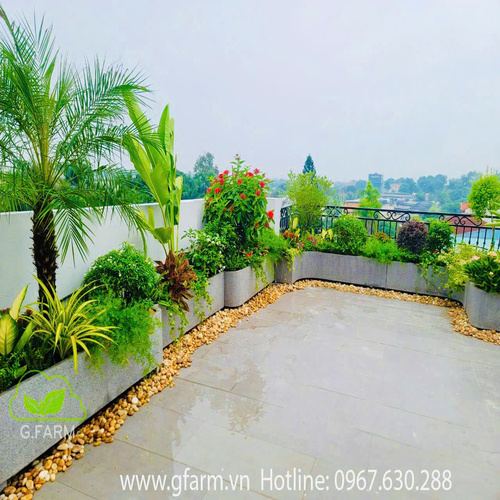 Vườn sân thượng đẹp nhất 2024