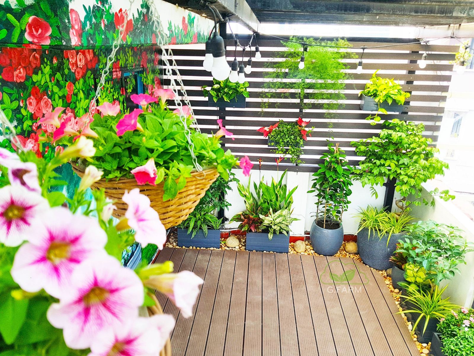 Những sản phẩm vườn đẹp Gfarm tháng 1/2024