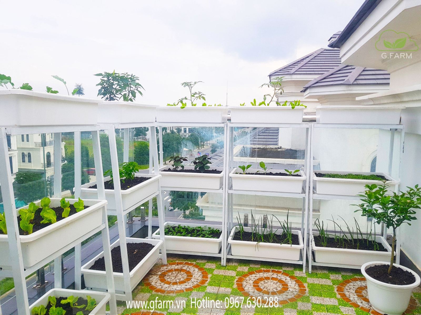 Vườn rau Vinhomes OceanPark