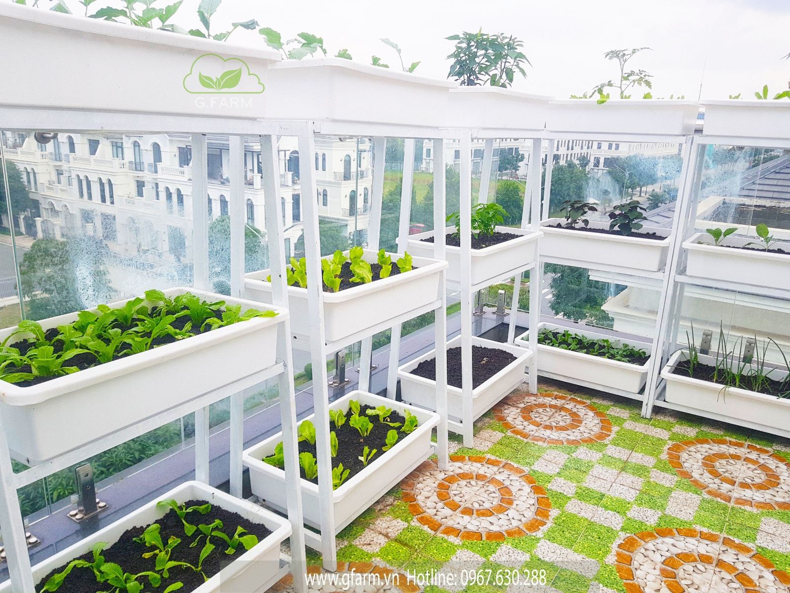 Vườn rau Vinhomes OceanPark