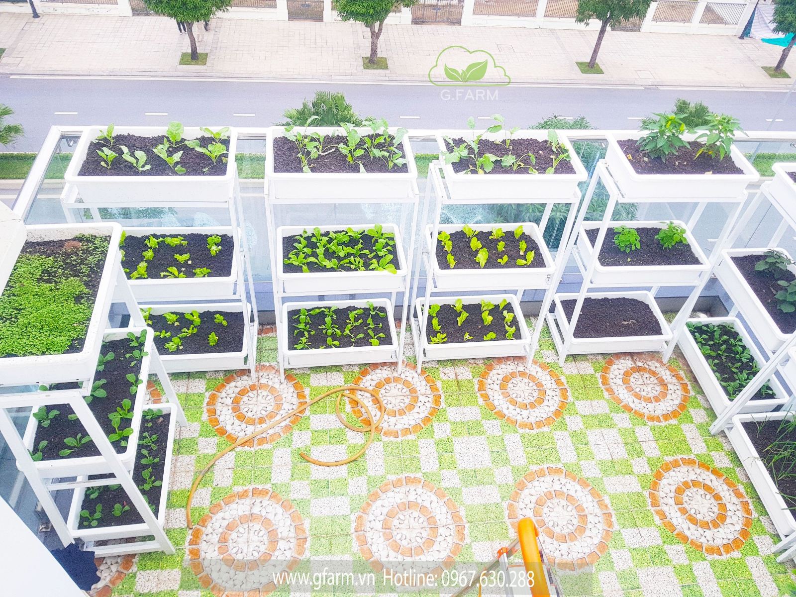 Vườn rau Vinhomes OceanPark