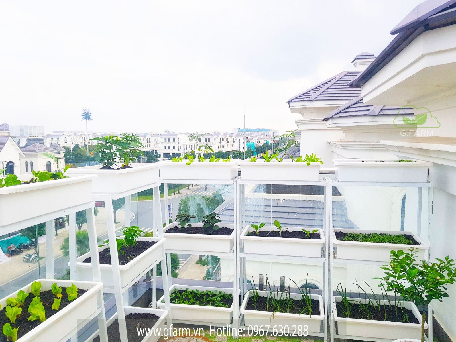 Vườn rau Vinhomes OceanPark