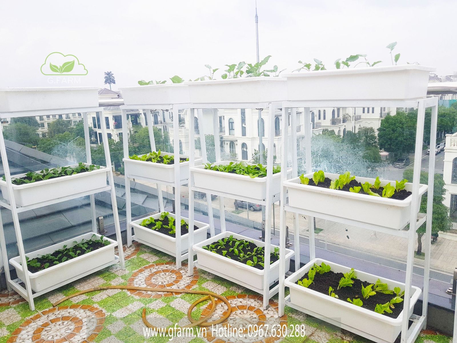 Vườn rau Vinhomes OceanPark