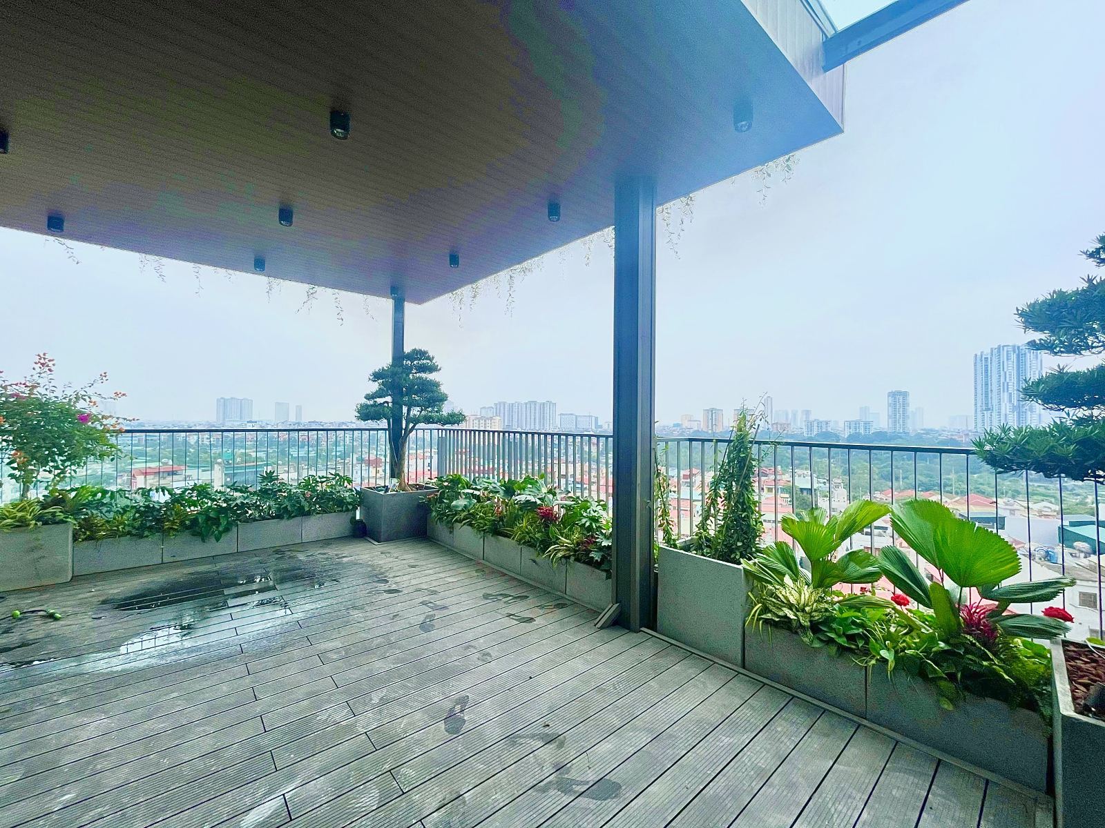 Vườn sân thượng nhỏ chị lan Triều Khúc