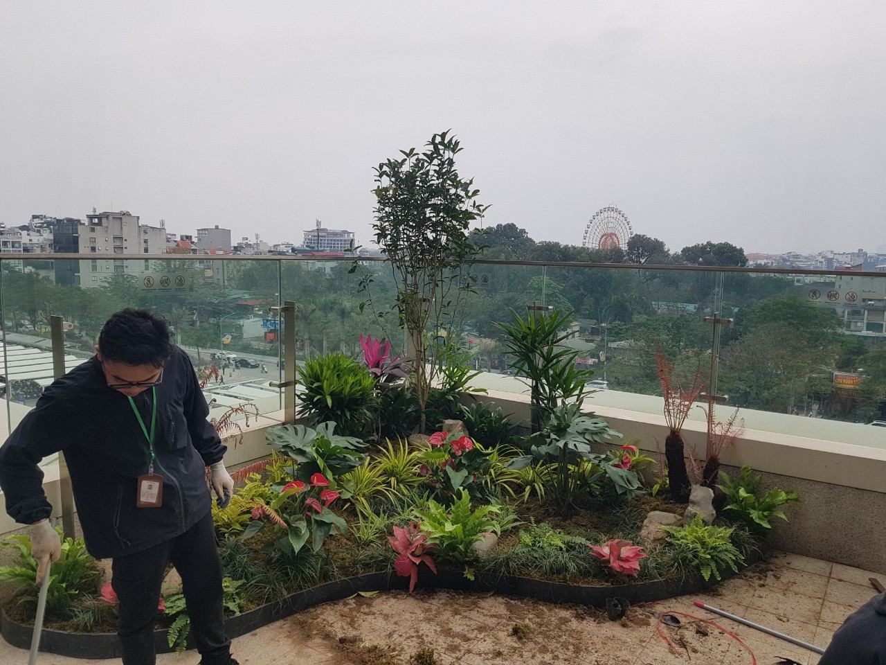 Quy trình thi công một vườn tiểu cảnh nhỏ đẹp