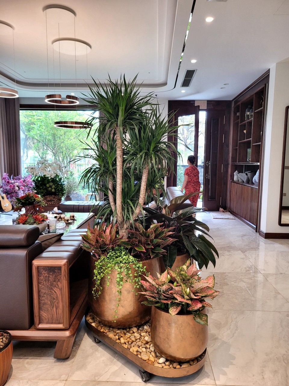 Chậu tiểu cảnh composite sợi thủy tinh