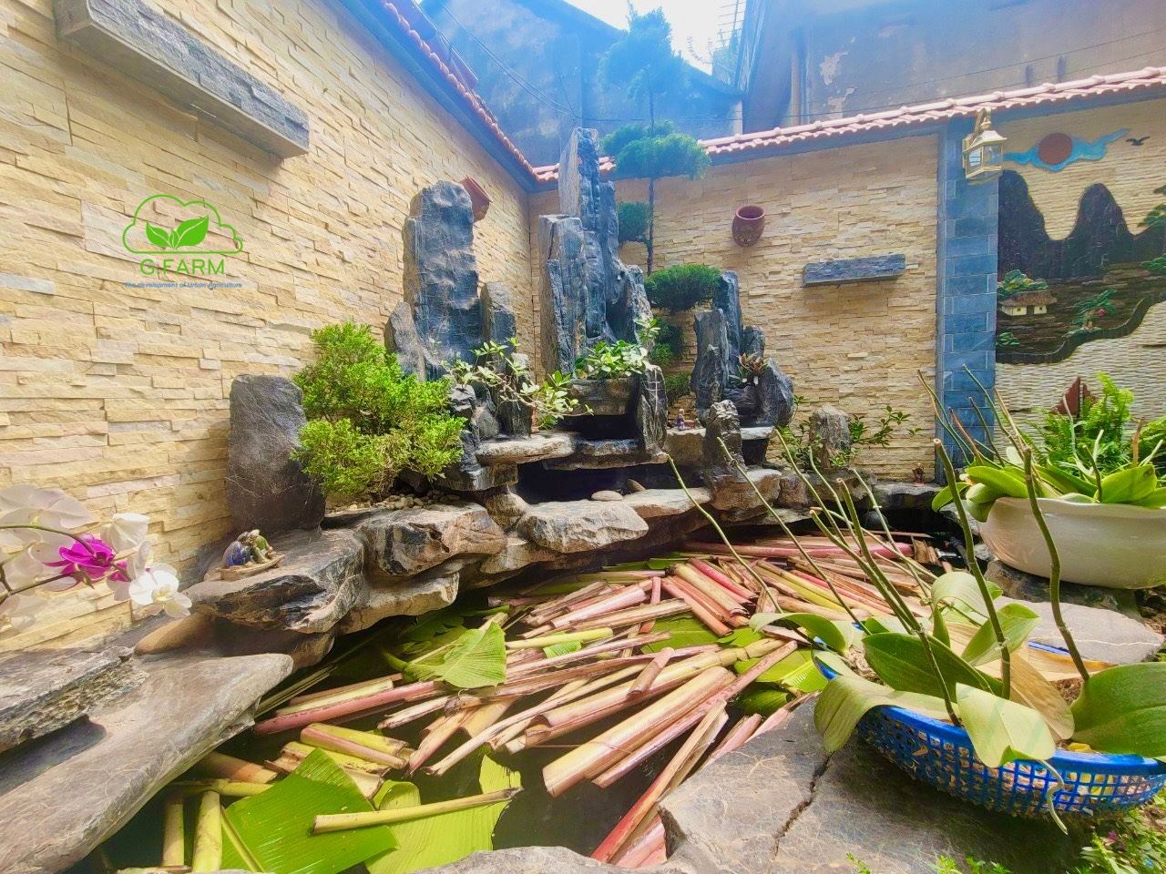 Thiết kế thi công tiểu cảnh non bộ