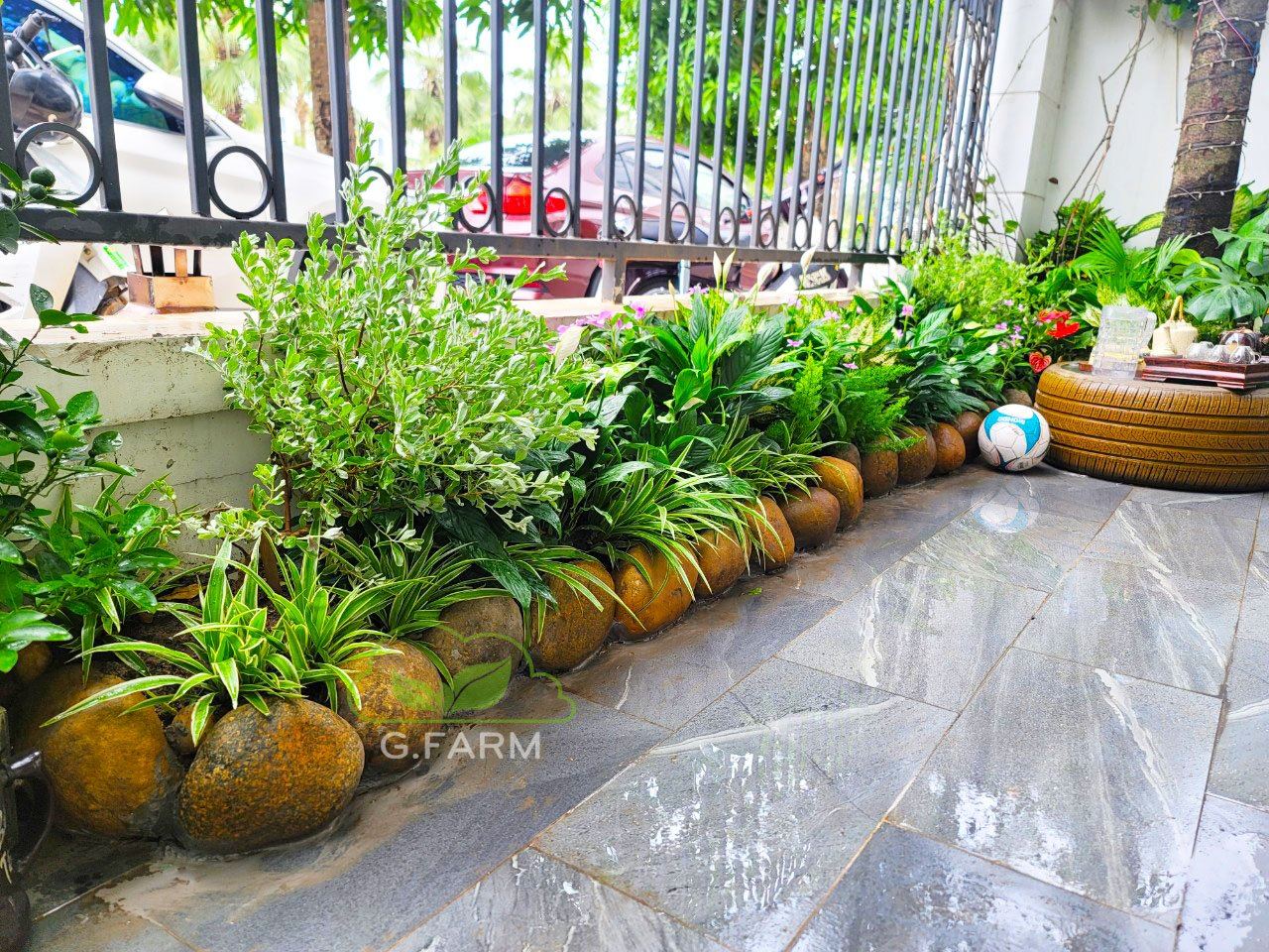 Vườn tropical Vinhomes Oceanpark