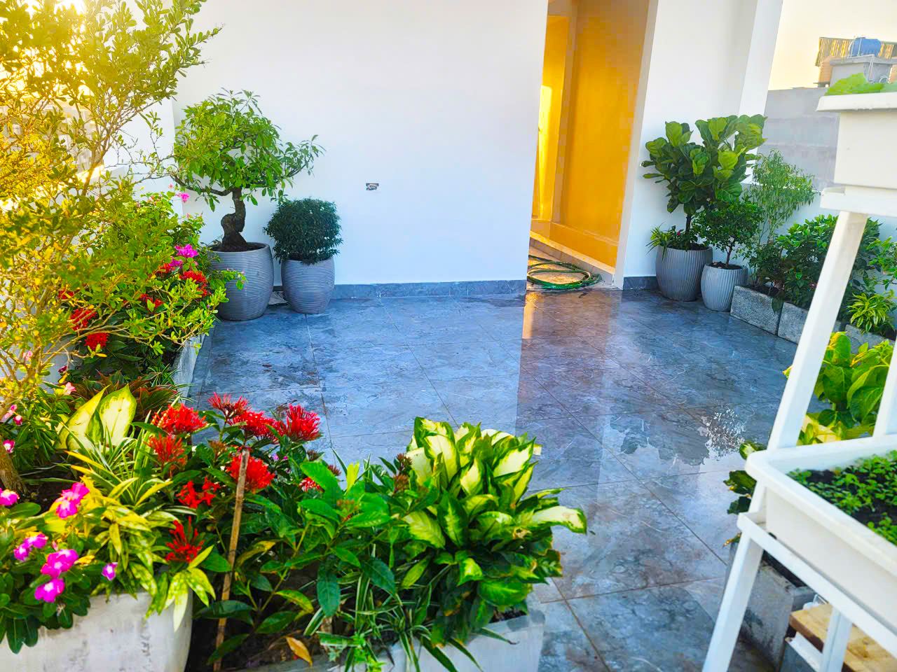 Vườn cây sân thượng chị Nga Phố Nối Hưng Yên