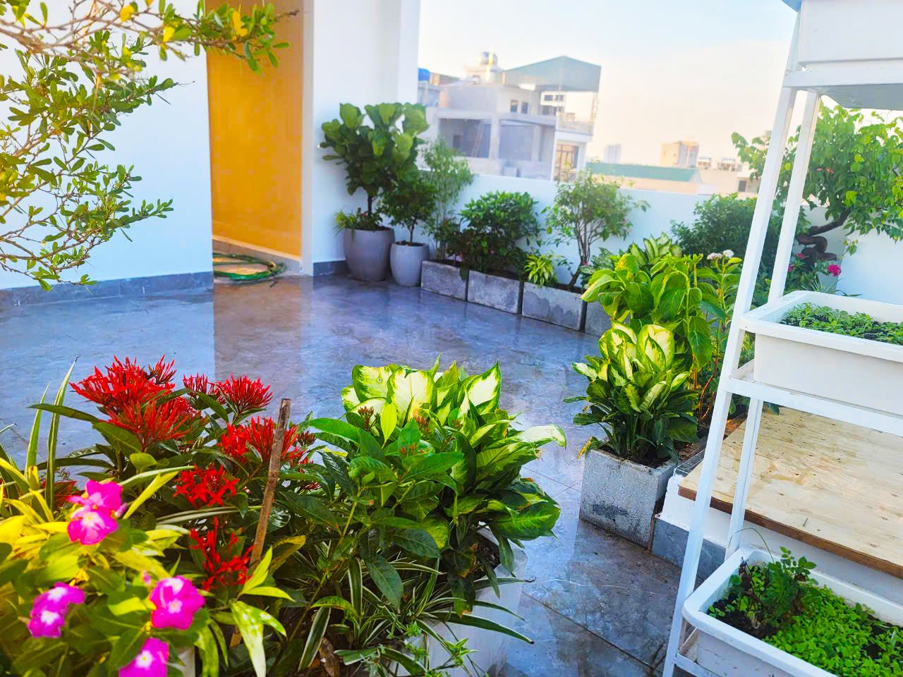Vườn cây sân thượng chị Nga Phố Nối Hưng Yên