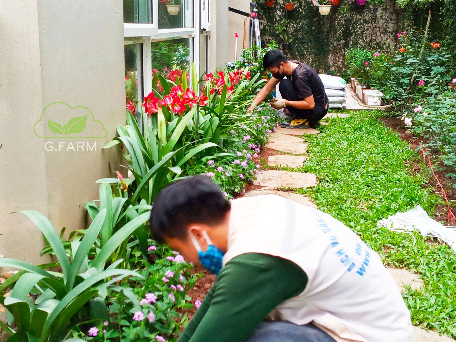 Thiết kế và Thi công dự án - Chị hà