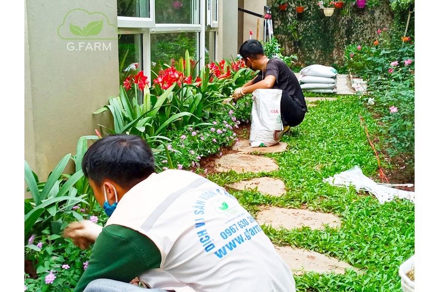 Thiết kế và Thi công dự án - Chị hà