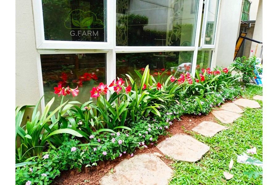 Thiết kế và Thi công dự án - Chị hà