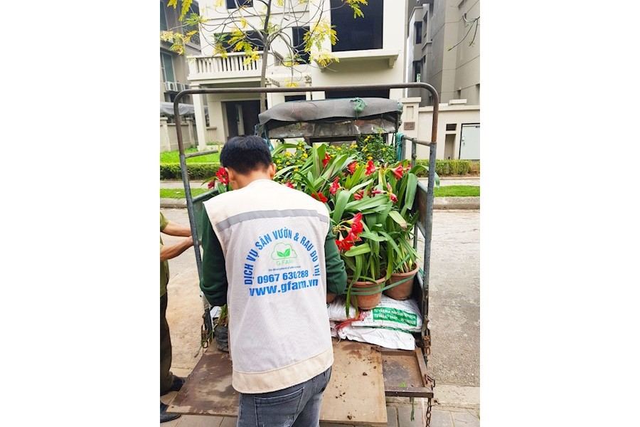 Thiết kế và Thi công dự án - Chị hà