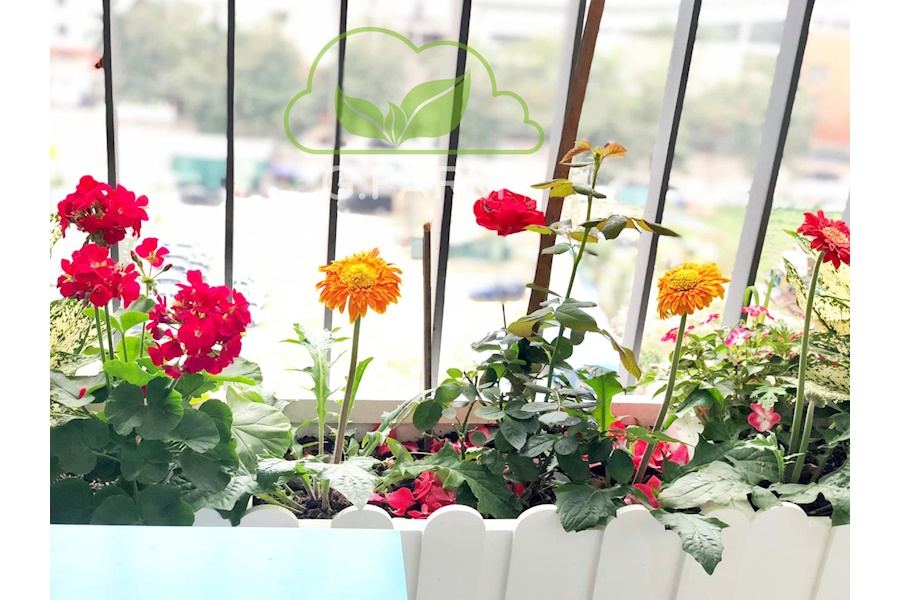 Thiết kế và Thi công dự án Ban công 10m2 - Chị Thủy