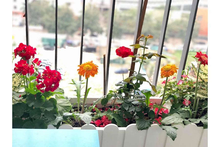 Thiết kế và Thi công dự án Ban công 10m2 - Chị Thủy