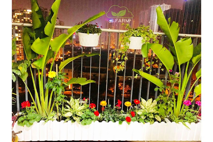 Thiết kế và Thi công dự án Ban công 10m2 - Chị Thủy
