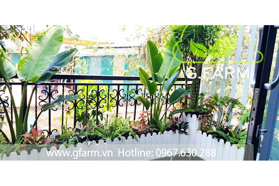 Thiết kế và Thi công dự án Ban công 15m2 - Chị Lệ