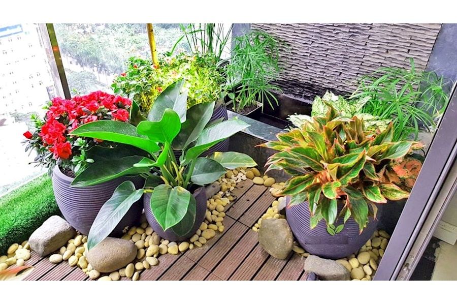 Thiết kế và Thi công dự án Ban công 10m2 - Chị nga