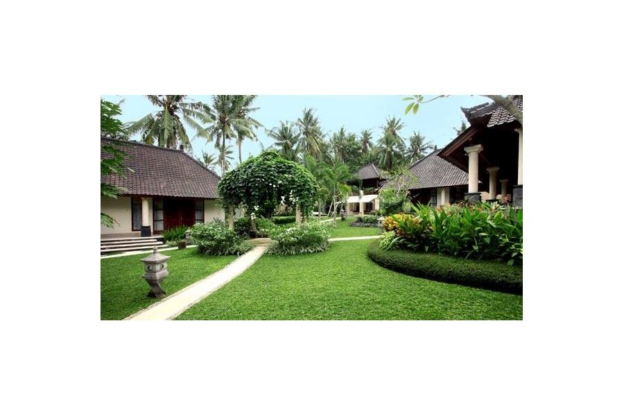 Thiết kế và Thi công dự án sân vườn Biệt thự 500m2 - Vườn Hòa Lạc