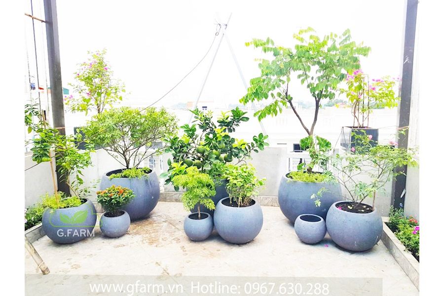 Thiết kế và Thi công dự án sân vườn Nhà phố 35m2 - Chị Uyên Hạnh