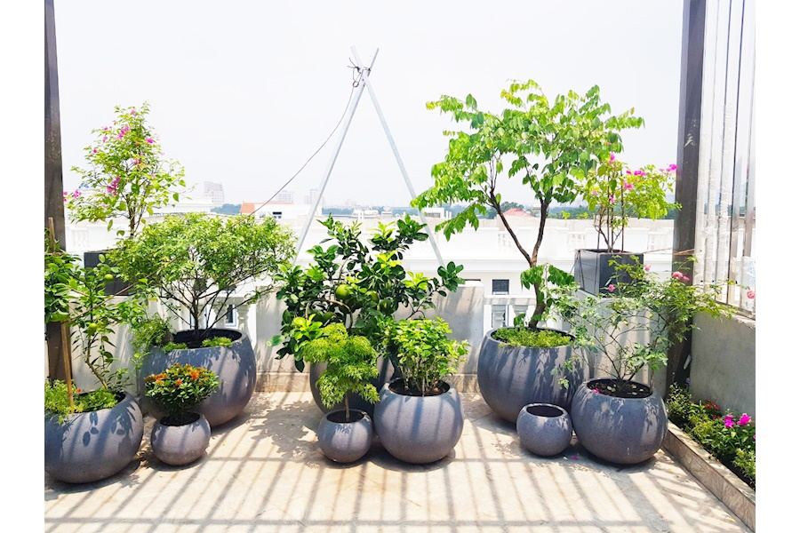 Thiết kế và Thi công dự án sân vườn Nhà phố 35m2 - Chị Uyên Hạnh