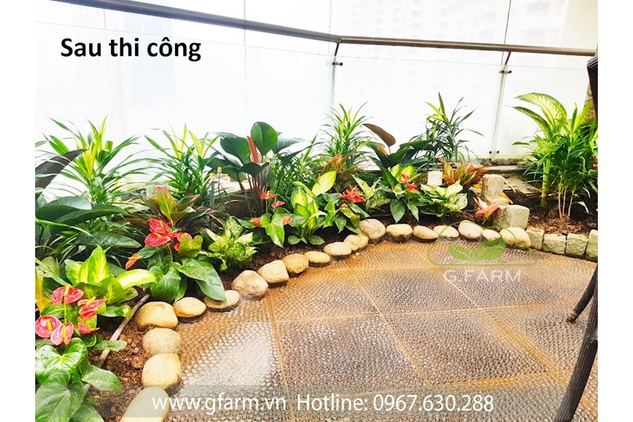 Thiết kế và Thi công dự án sân vườn Nhà phố 100m2 - Chị nga