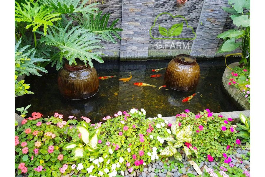 Thiết kế và Thi công dự án sân vườn Nhà phố 100m2 - Chị nga