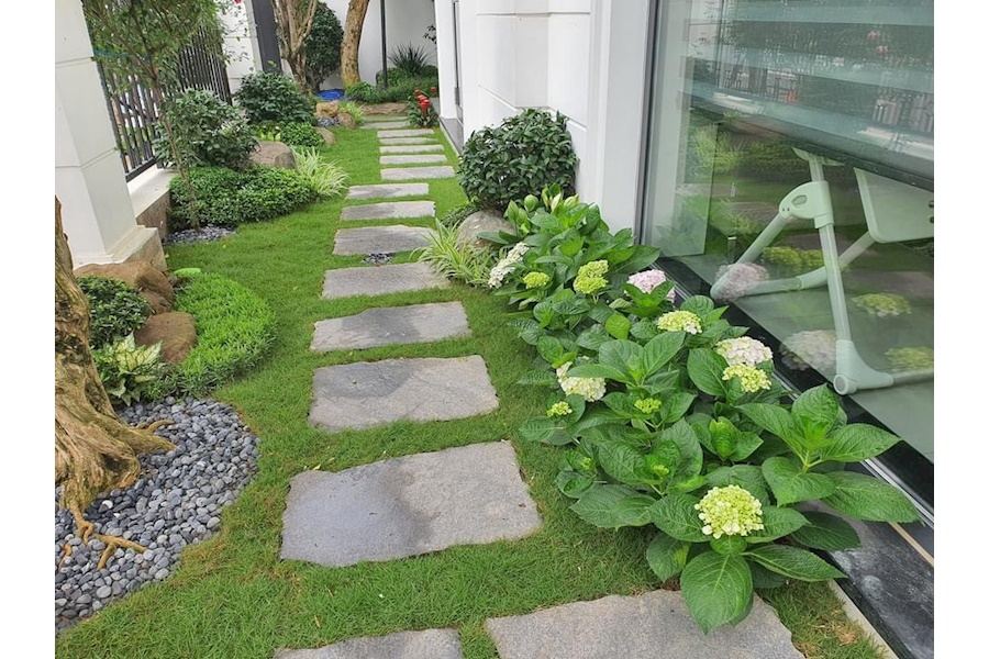 Thiết kế và Thi công dự án sân vườn Nhà phố 20m2 - Vườn Chị Nhung