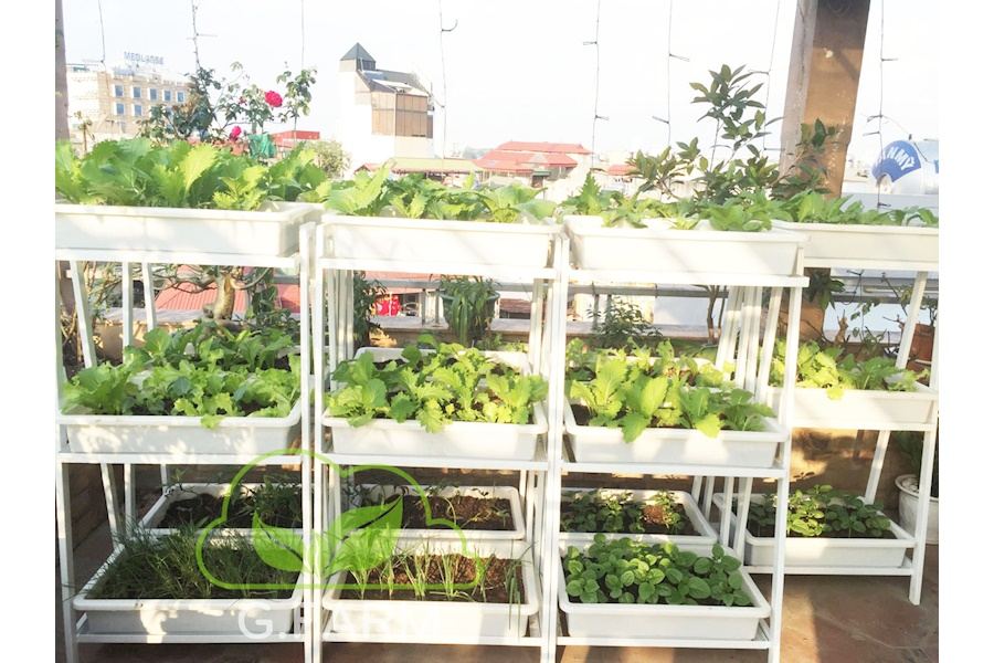 Thiết kế và Thi công dự án Rau sạch sân vườn 50m2 - Chị Hải