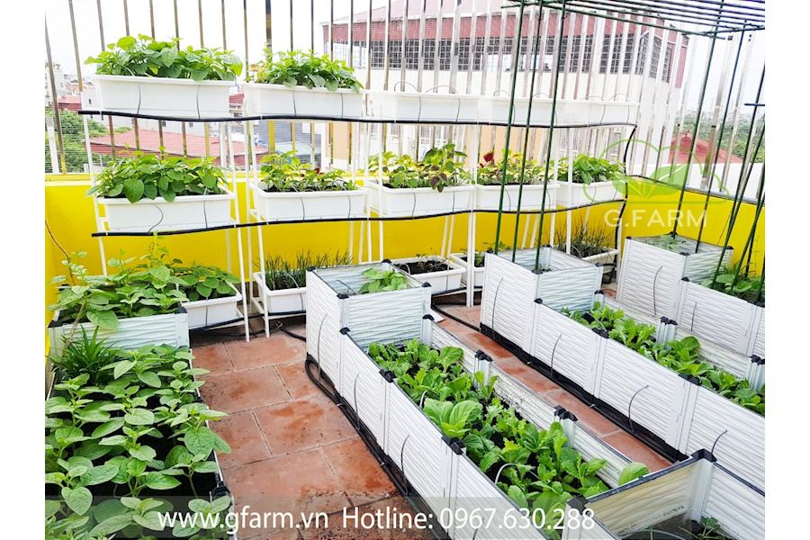 Thiết kế và Thi công dự án Rau sạch sân vườn 40m2 - Chị Uyên Hạnh