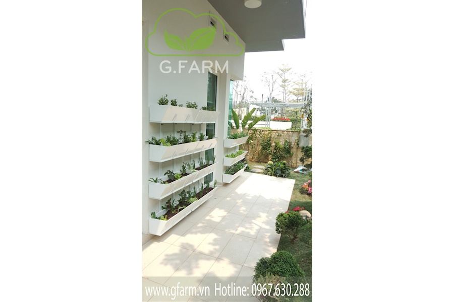 Thiết kế và Thi công dự án Rau sạch sân vườn 30m2 - Cô Hạnh